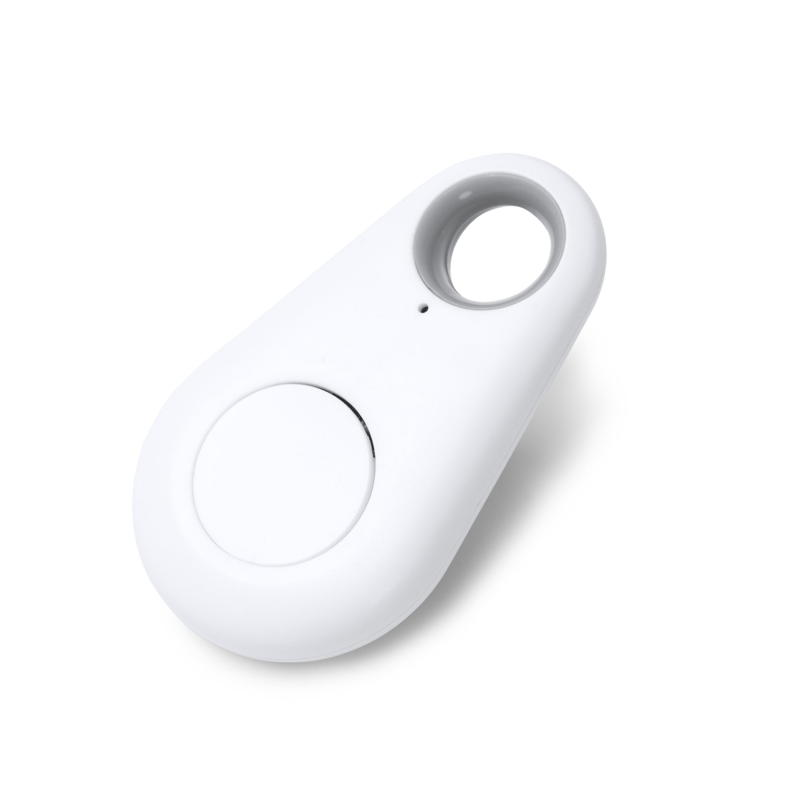 1843_01_1_1.jpg FINDY - Imagen 1